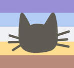 Windowcatsittic